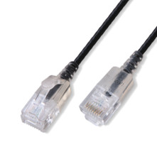 DÂY NHẢY LAN CAT 6