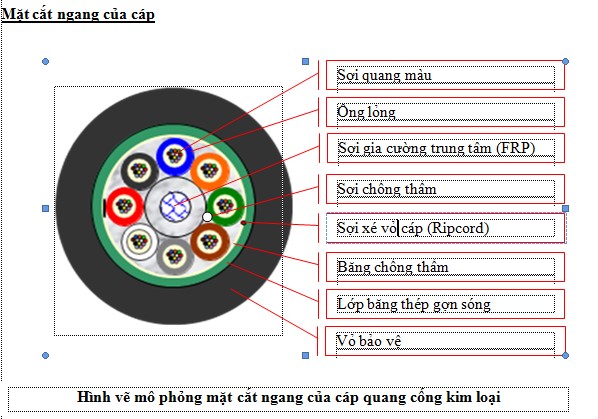 CÁP QUANG CỐNG