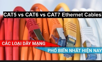 Cách Chọn Dây Mạng Phù Hợp Với Nhu Cầu