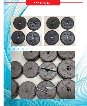 NẮP ĐIỆN LỰC 1